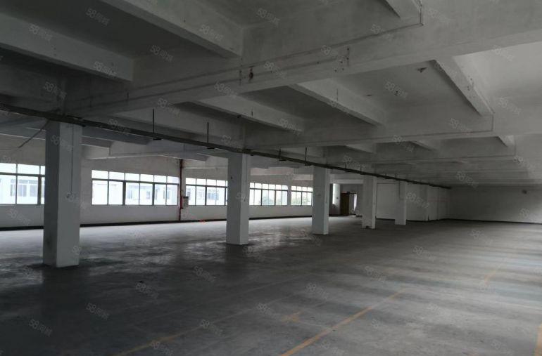 寮步园区厂房   出租整层1400平方米   低价出租