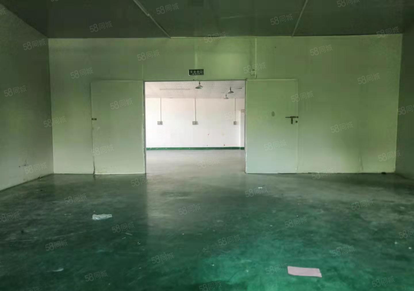 寮步岭夏原房东新出标准厂房500平出租，车间带绿色地坪漆。