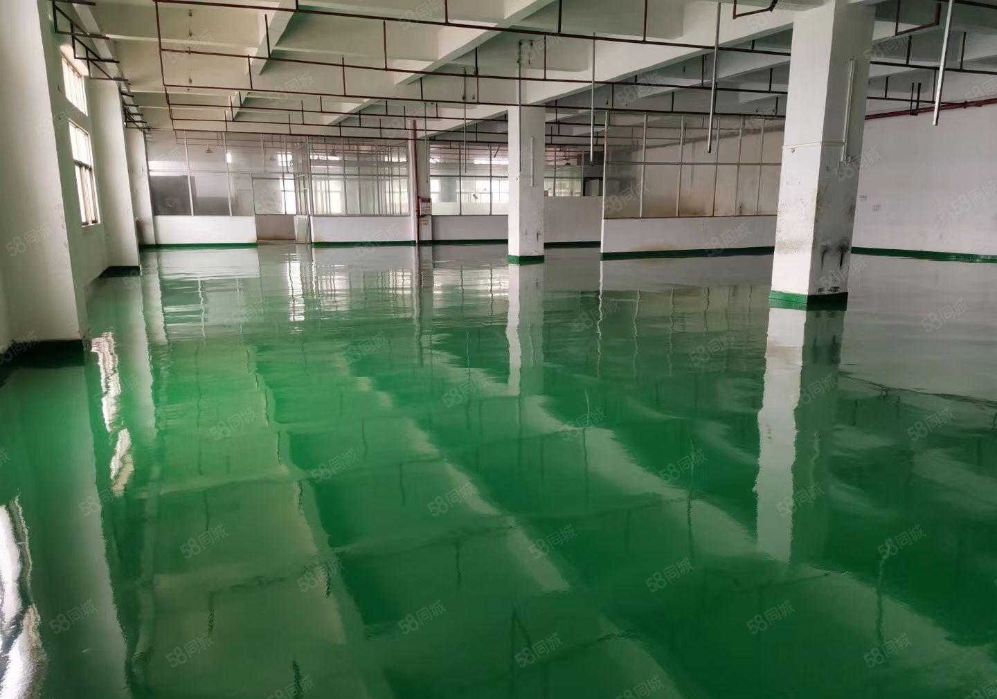 寮步新空出楼上1500平全新地平漆精装修办公室厂房出租