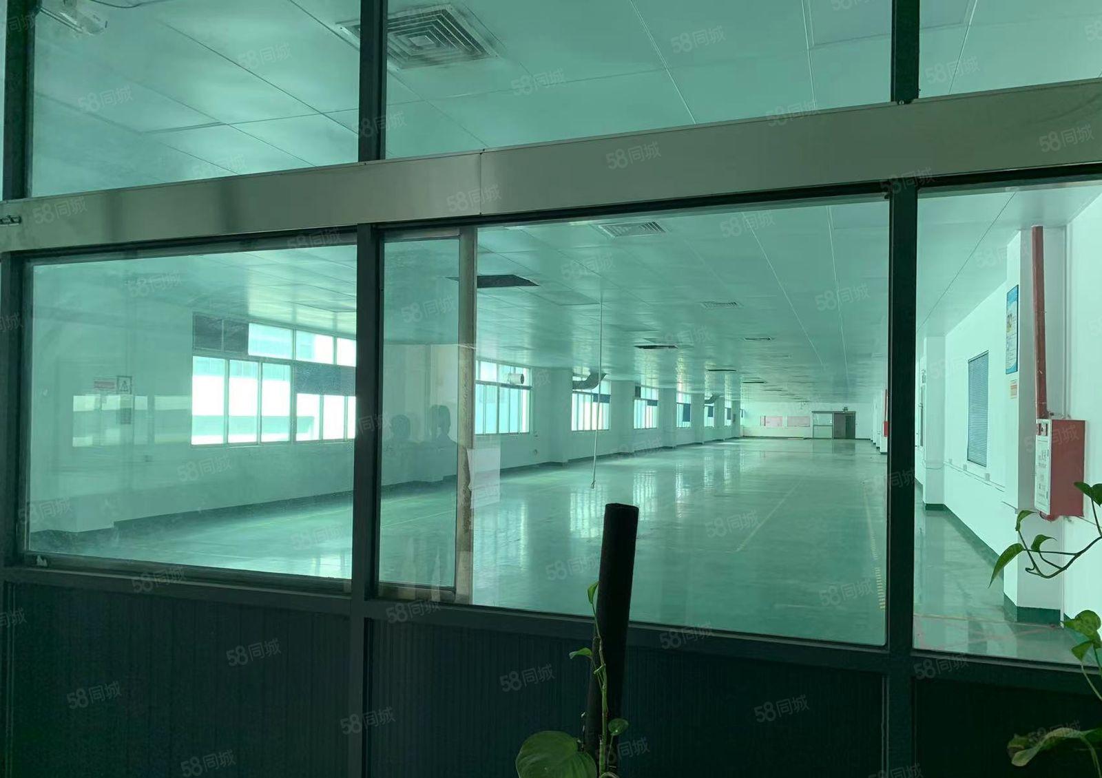 寮步西溪新出一手房东花园式标准厂房出租2万平米双证齐全配套齐