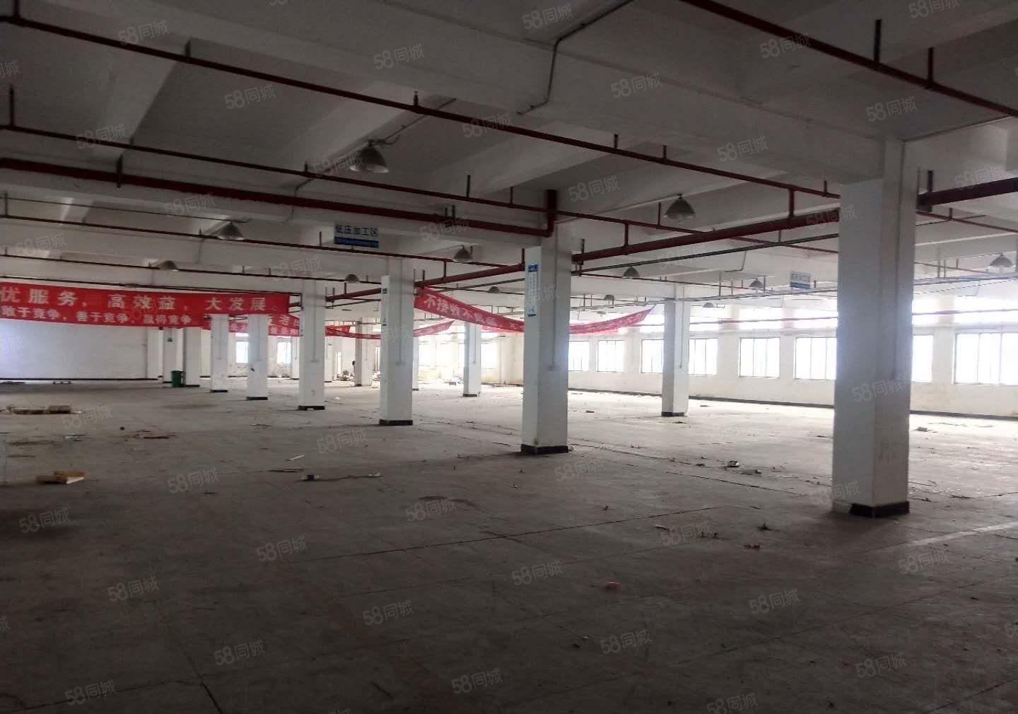 寮步上屯高新科技园新出一楼800平形象好空地大可办环评！