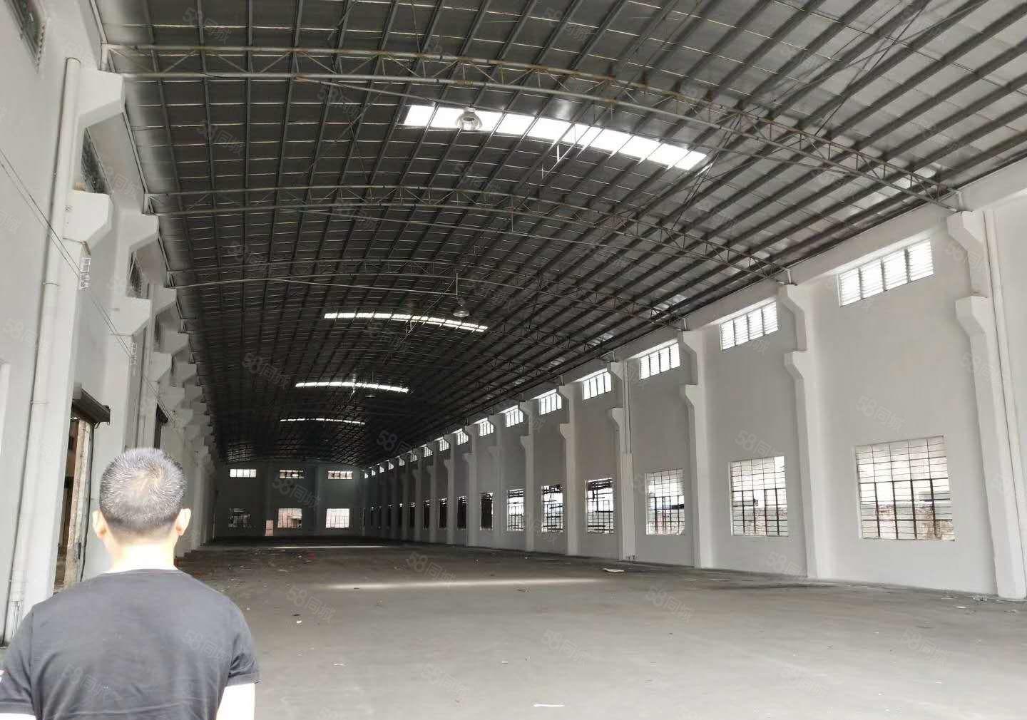 华南城 独院 单一层钢构 2800平方 带行车 高度10米