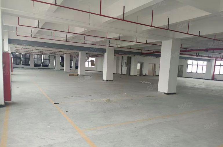 精装修 寮步3000平方重工业厂房出租 租金便宜.