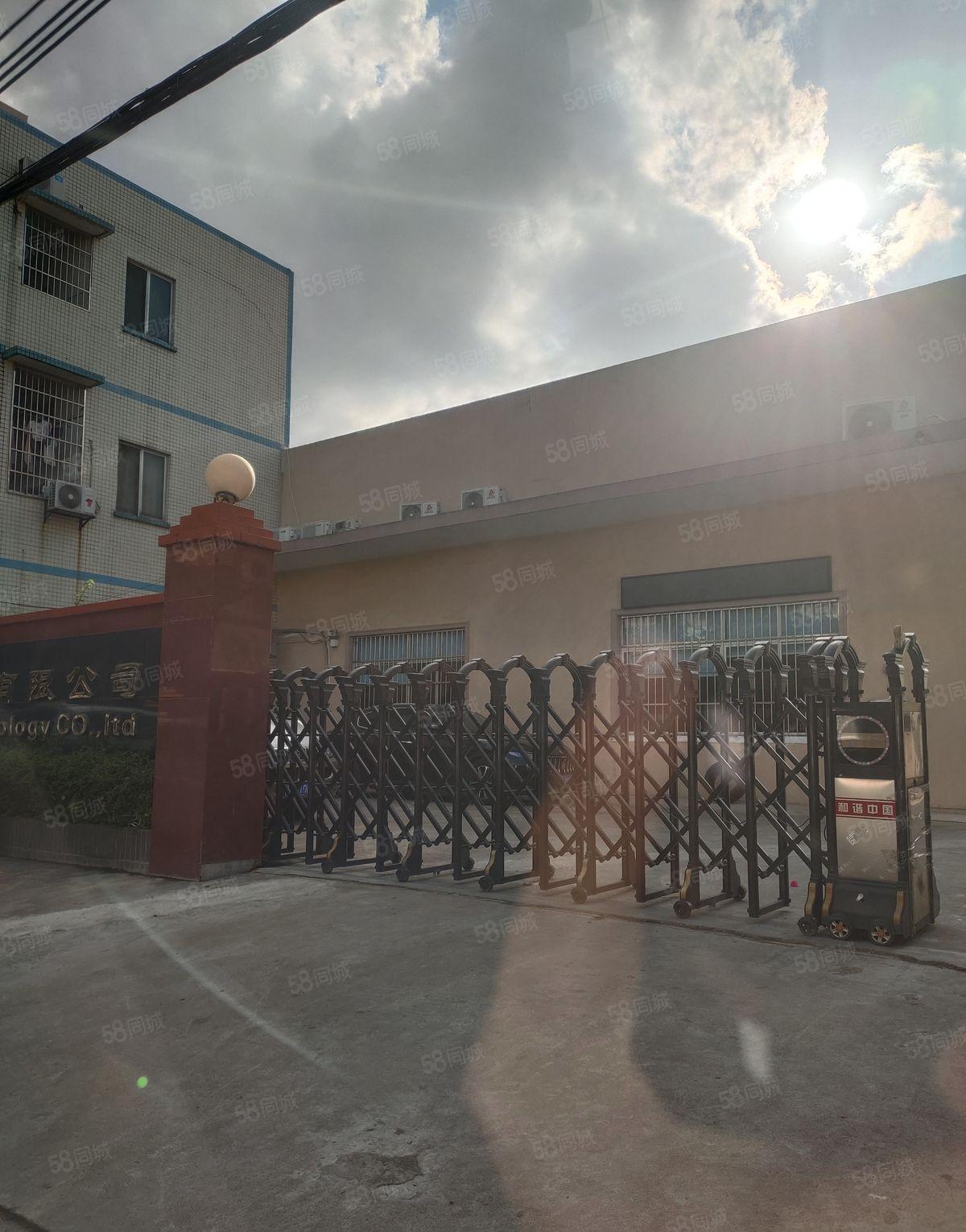 寮步本地原房东单一层砖墙到顶小独院2000平方，滴水8米招租