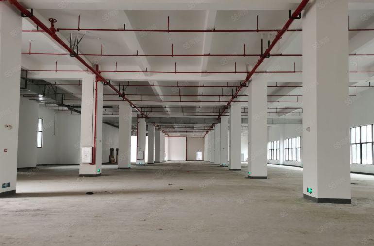 寮步镇原房东全新红本，玻璃幕墙，3万平方高端大气厂房招租
