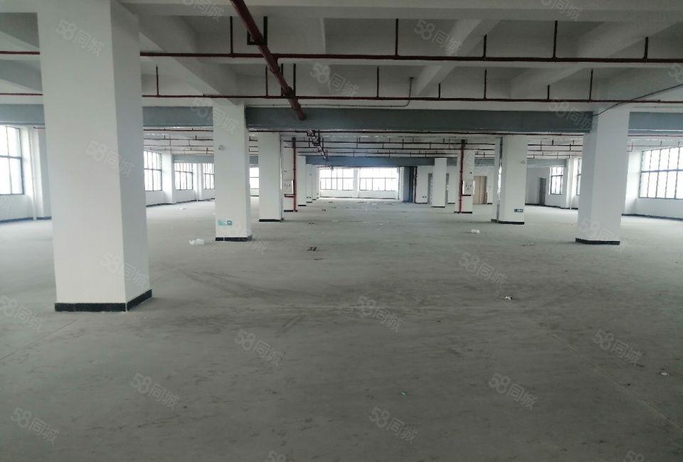 新盘！东莞寮步全新重工业厂房招租，利用率高，配套齐全