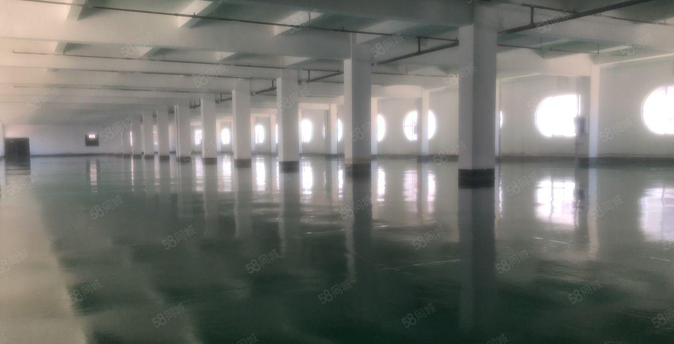 寮步镇原房东红本厂房共4栋实际面积500平方起租，