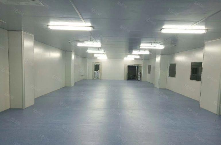 寮步镇药勒新出精装十万级无尘车间带十四部天花空调厂房出租