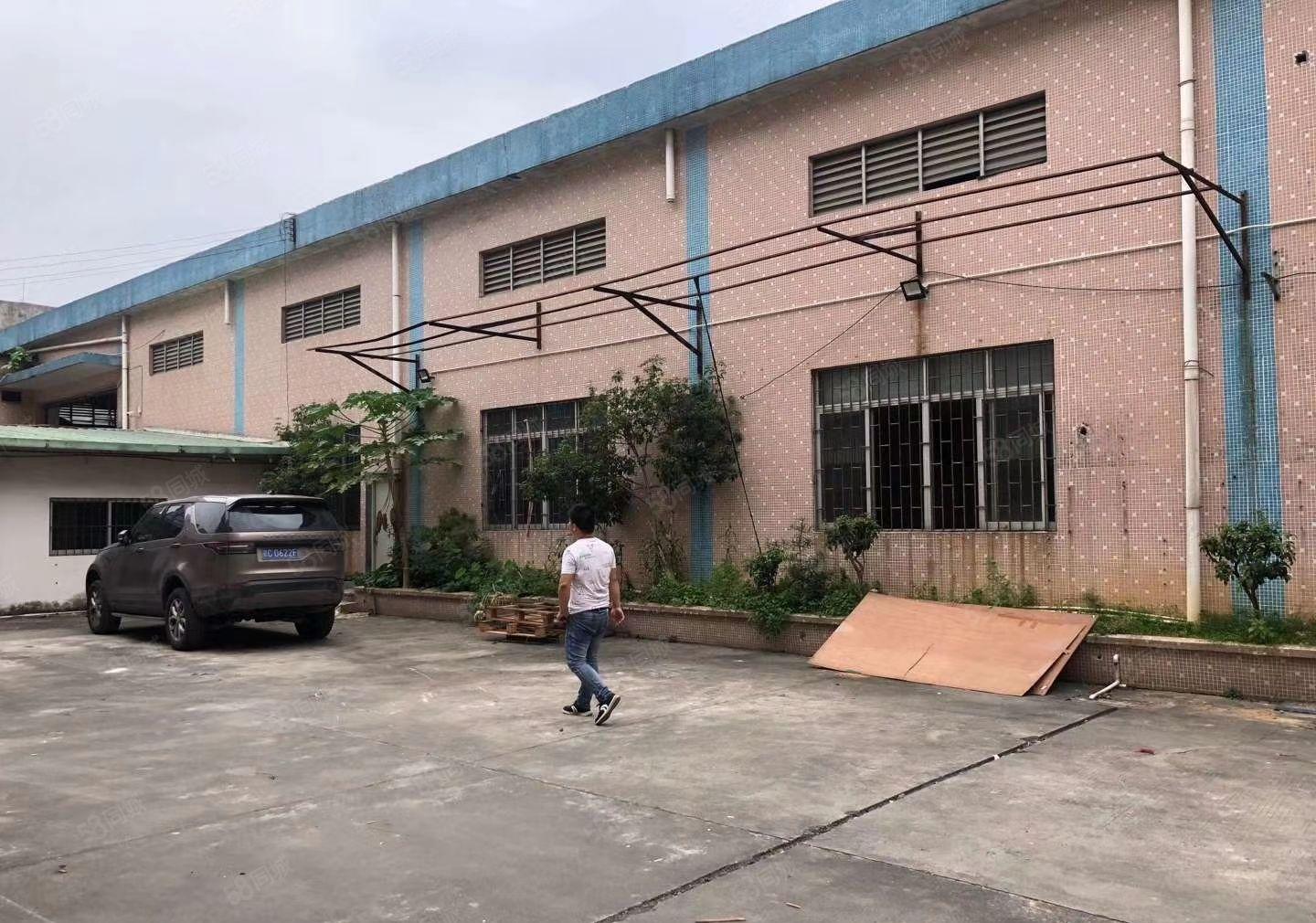 寮步本地原房东单一层砖墙到顶小独院2000平方，滴水8米招租