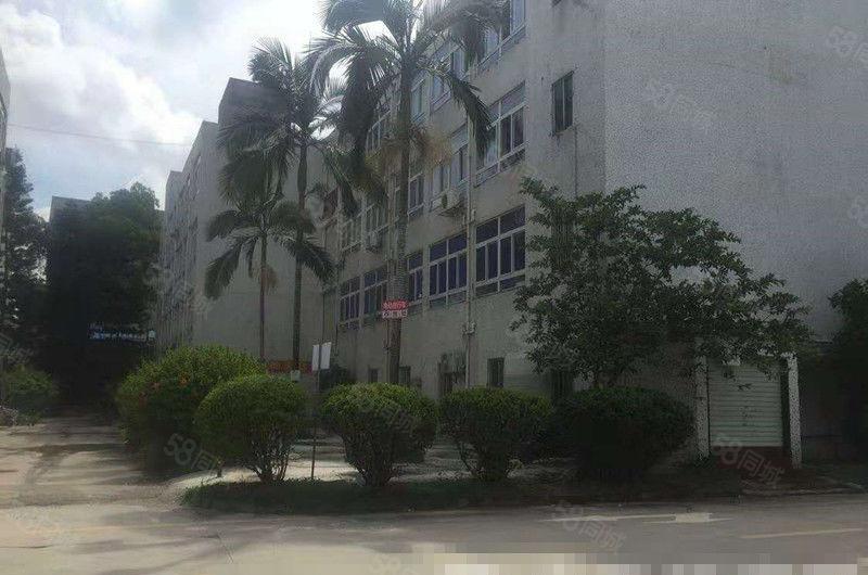 横坑 新出 二楼整层 1200平方 10元放租 价格还可再谈