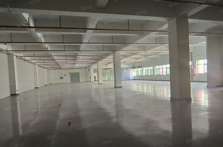 寮步精装修2楼1600平，水电齐全，