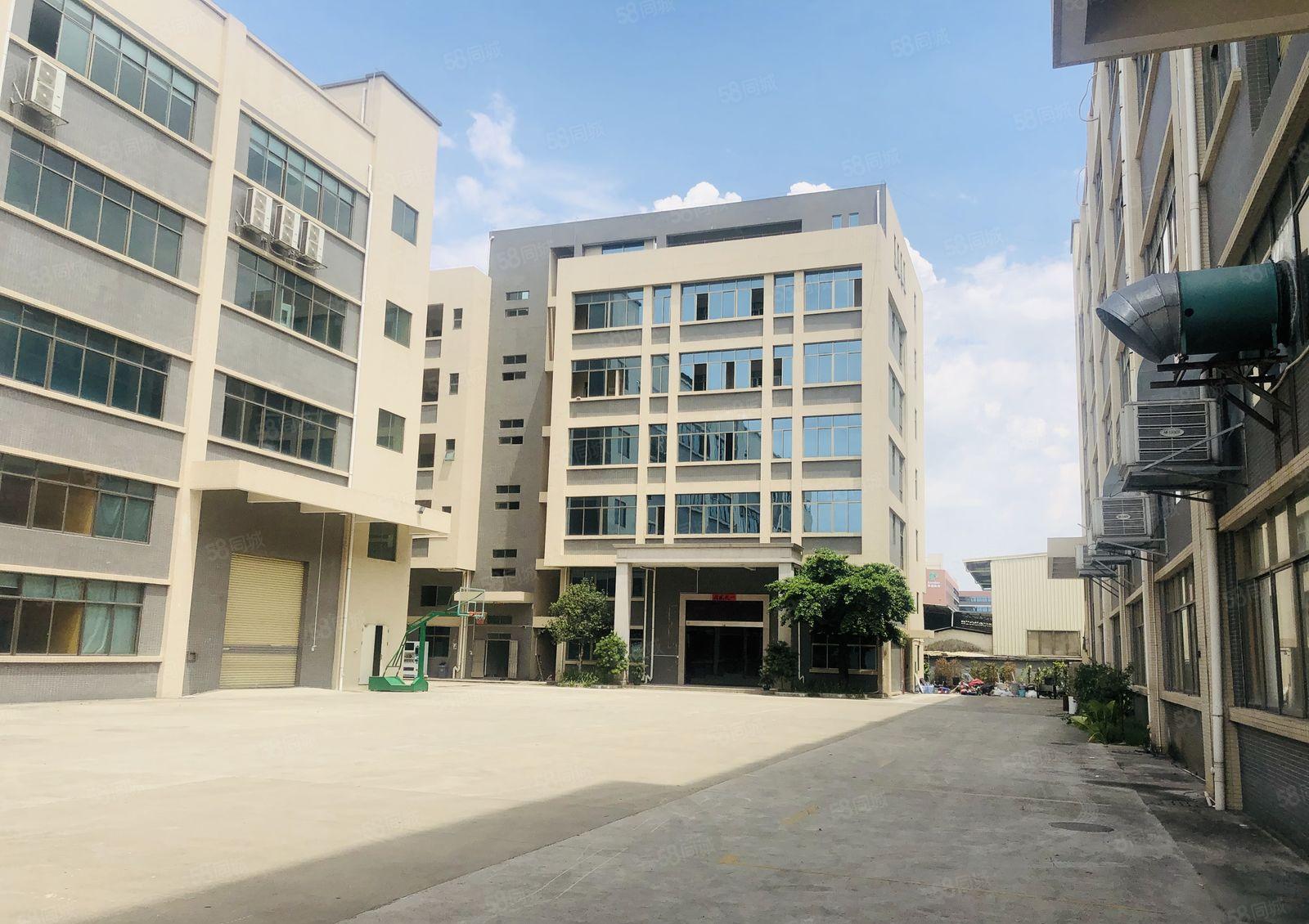 低价厂房出租！寮步良边原房东厂房1288平，带办公室