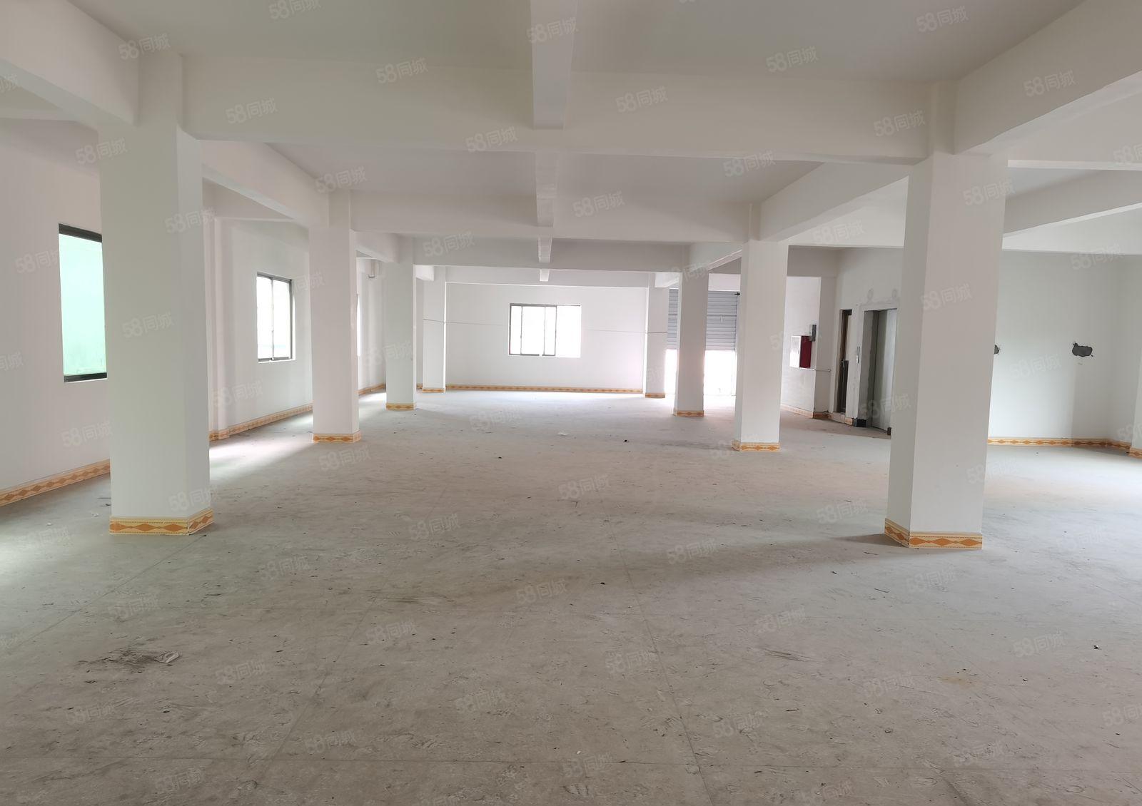 寮步竹园新出低价厂房五楼700平方价格便宜甩租