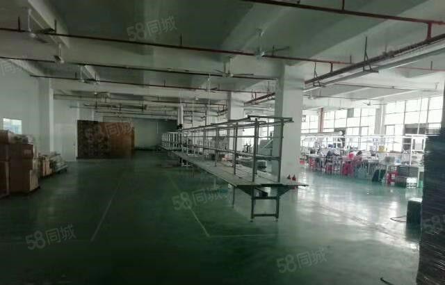 寮步 药勒 全新厂房 共5000平方，10元急租
