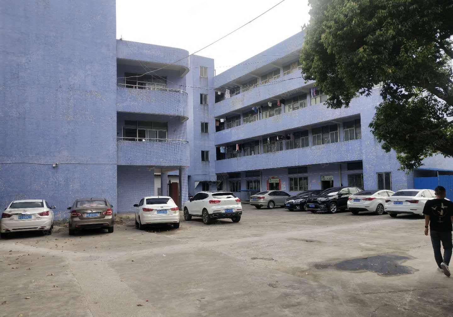 寮步上屯高新科技园新出一楼800平形象好空地大可办环评！