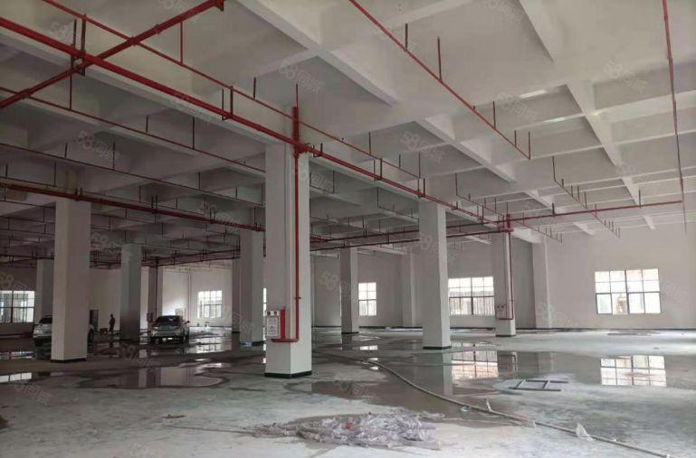 寮步镇原房东厂房一楼，可以架航车，有现成水电办公室配套宿舍。