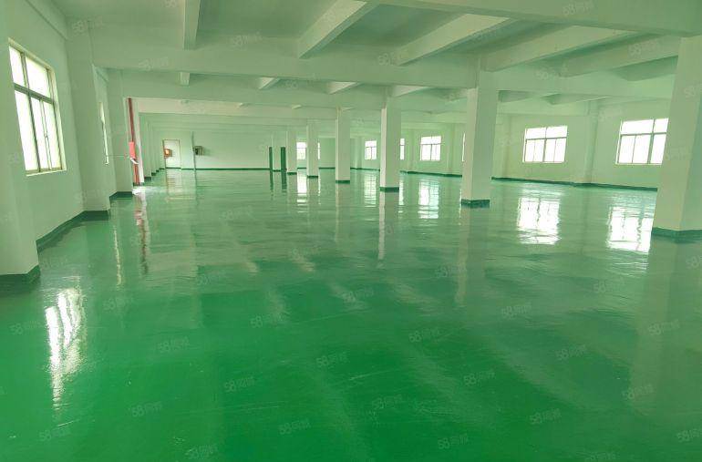 寮步原房东1楼1500平低价实际面积出租可分租可办环评带装修