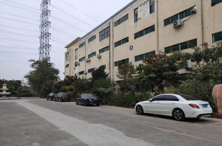 寮步 良边 独院厂房 分租 一楼300平方，价格便宜地段好