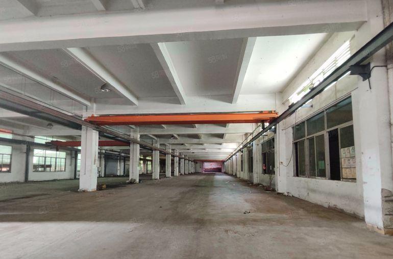 寮步一楼3300平方厂房出租，2台行车免费使用，周边交通便利