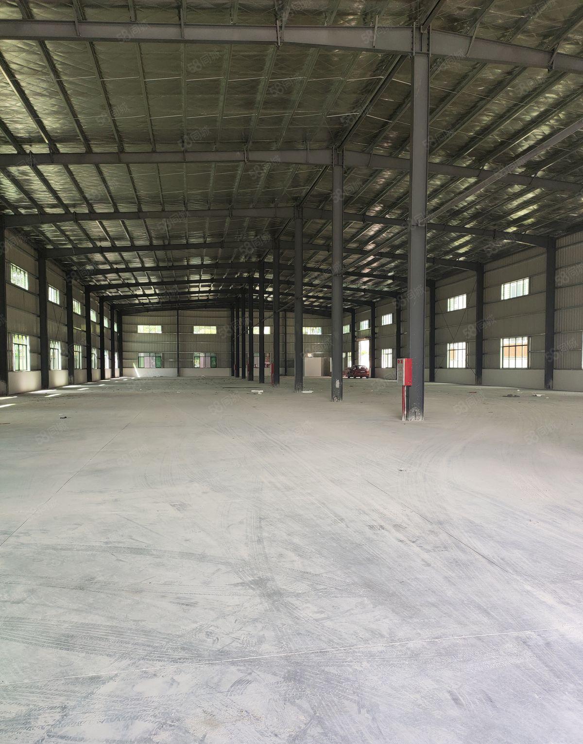 寮步本地原房东单一层砖墙到顶小独院2000平方，滴水8米招租