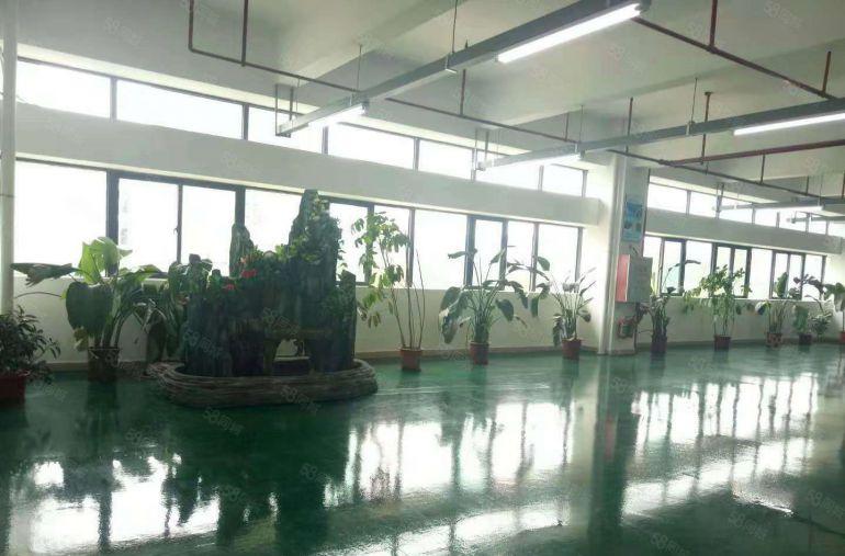 寮步 西溪 大型科技园20万平方,分租8元起，形象好空地大
