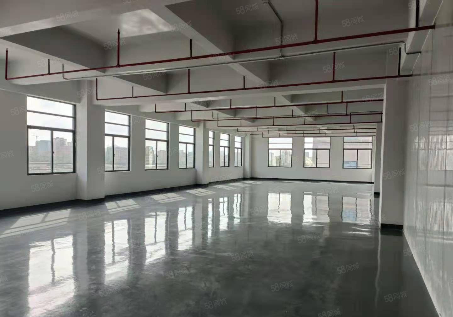 寮步独院厂房万丰智谷带3吨货梯研发厂房出租