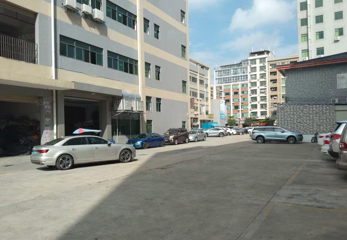 寮步石步原房东一楼850平方急租，没有公摊