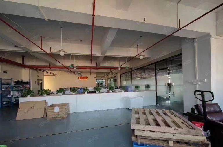 独门独院4500平厂房出租 形象好空地大