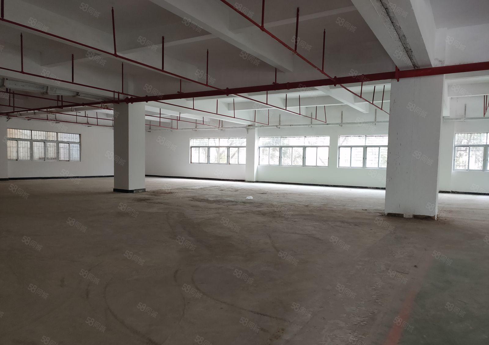 寮步 下岭贝 一楼 厂房 800平方,价格便宜，急租!