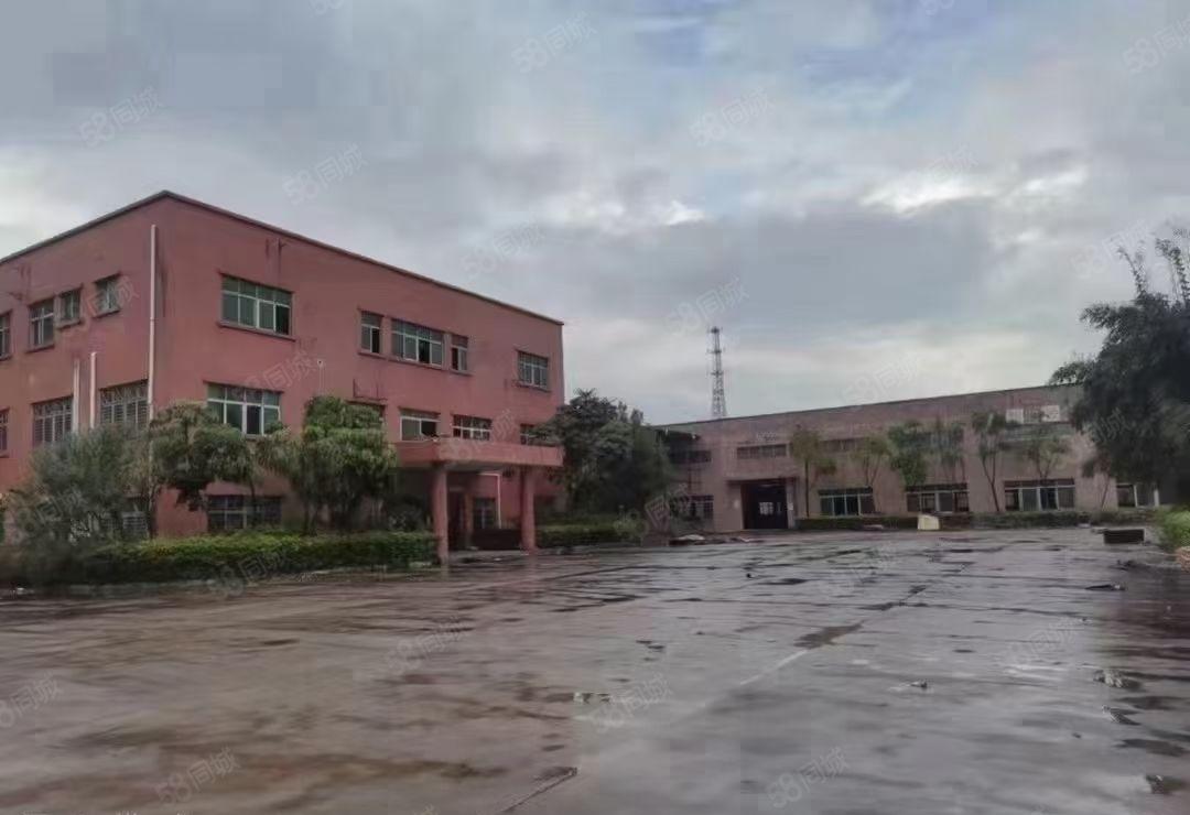 东部快速路周边镇区单一层钢结构独院厂房出租分租或整租