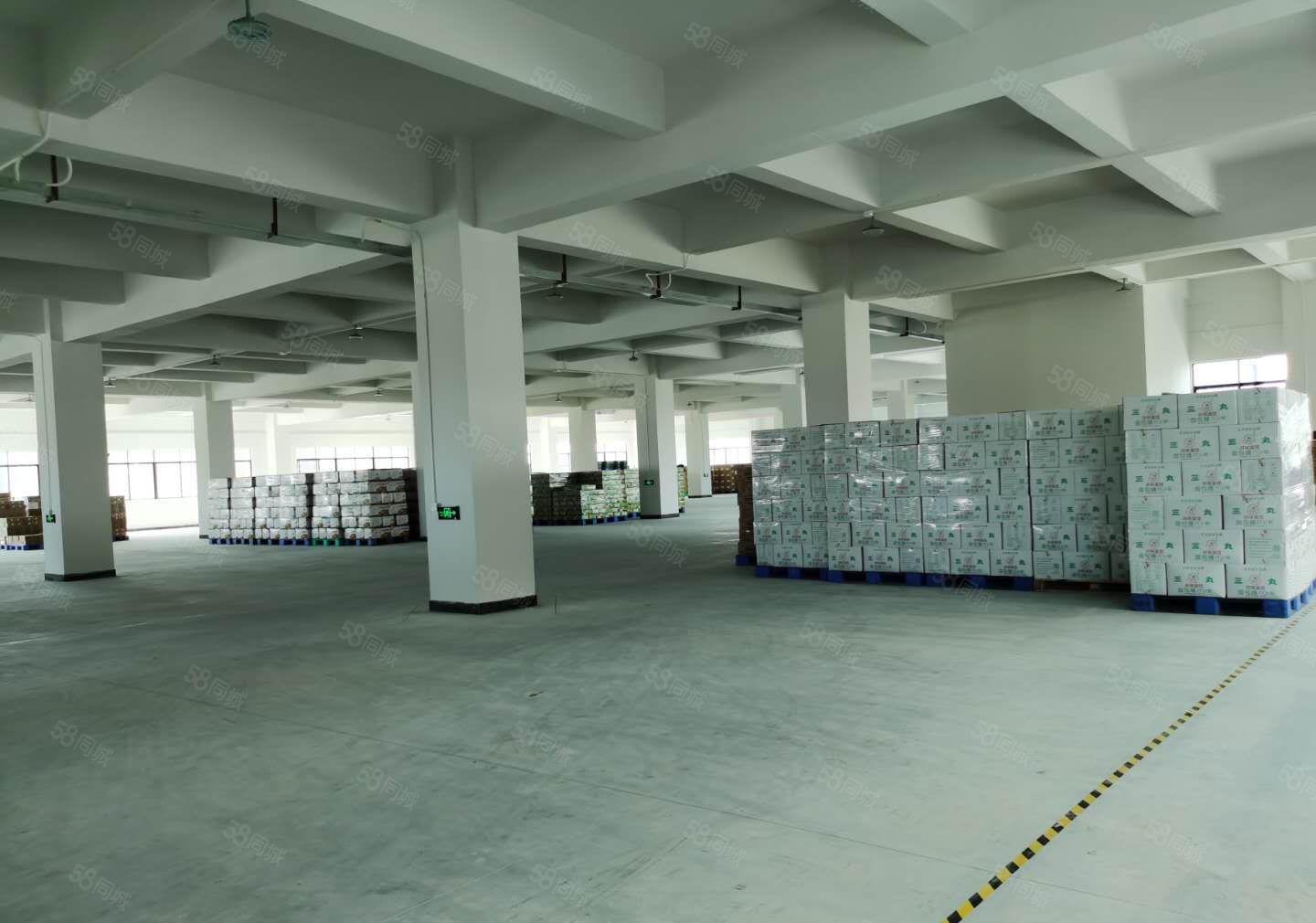 特价处理，超底价格，寮步镇分租4楼厂房出租