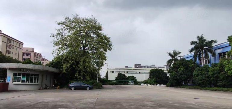 寮步石龙坑原房东18500平方独门独院厂房出租实际面积无公摊