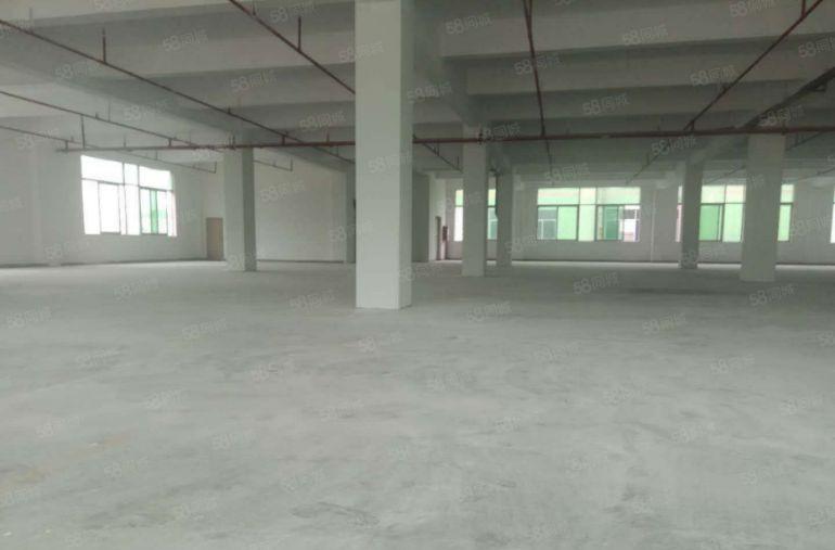 竹园 一楼 200平米 无公摊 月租2000元