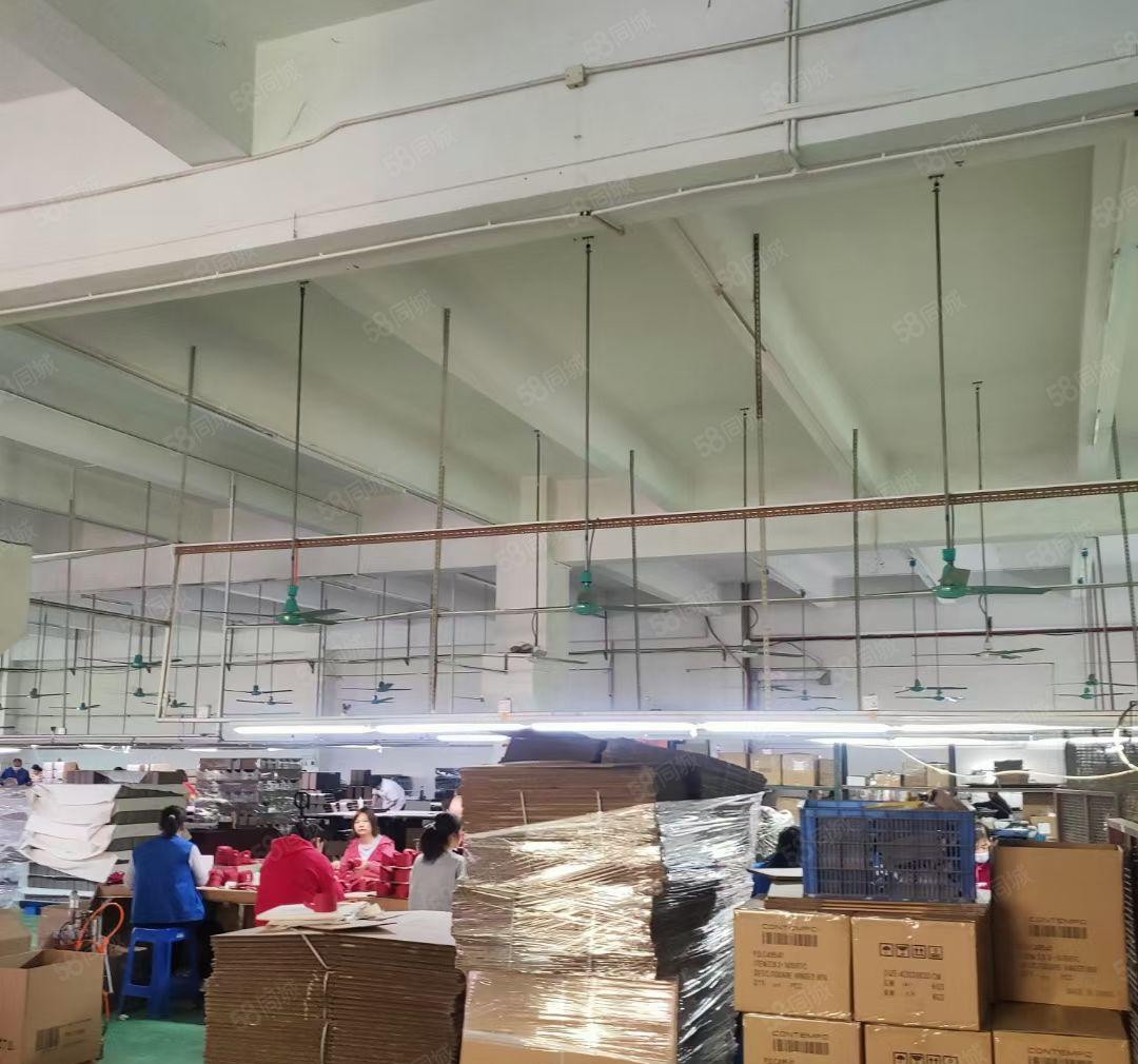 寮步原房东独门独院6800平，带精装修办公室