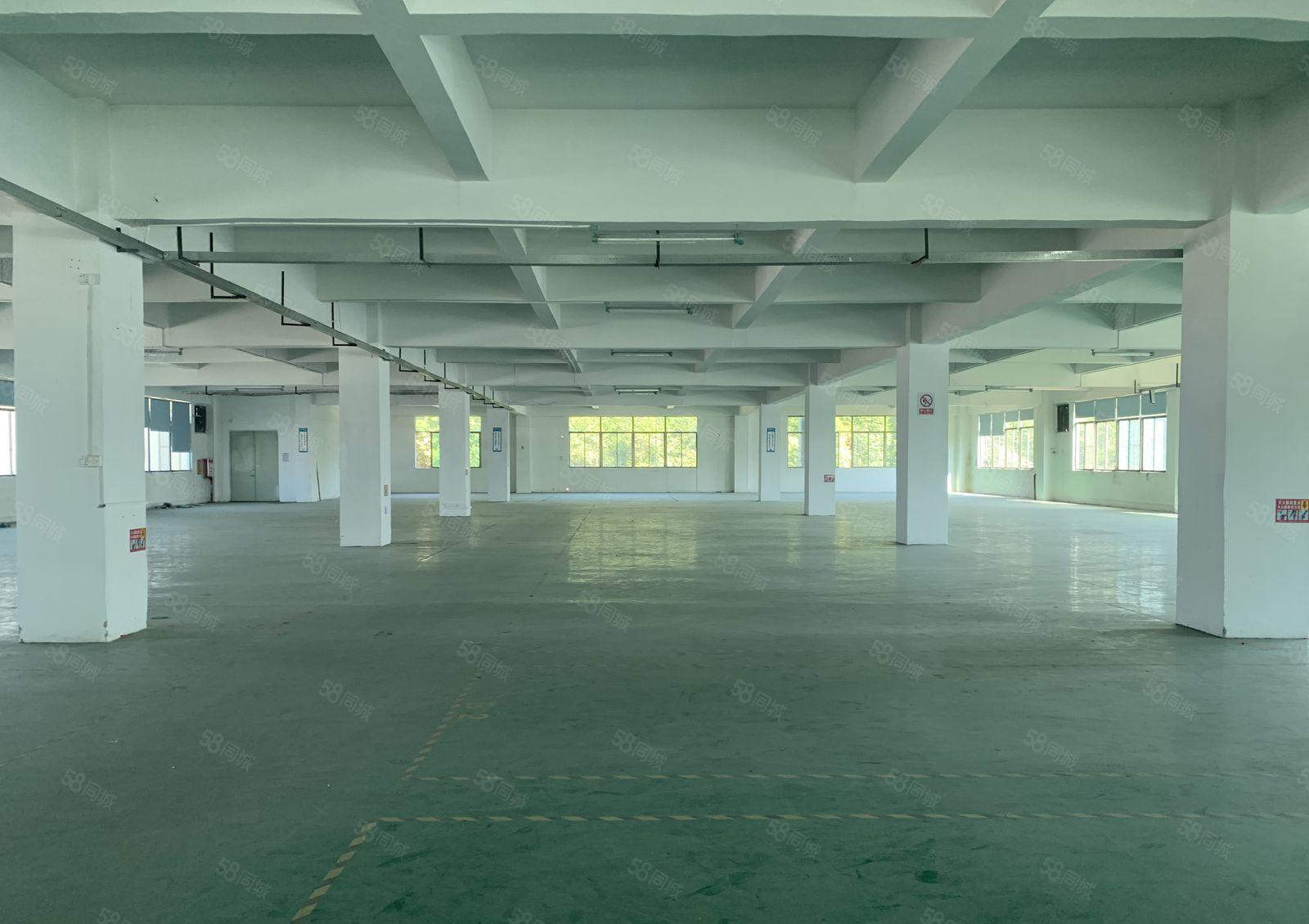 东莞寮步镇厂房出租，2500平形象好空地大可办环评！