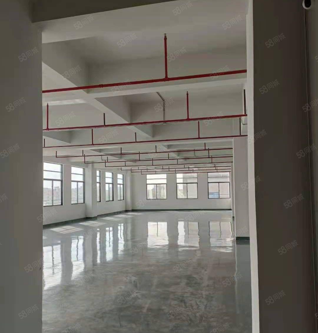 寮步独院厂房万丰智谷带3吨货梯研发厂房出租