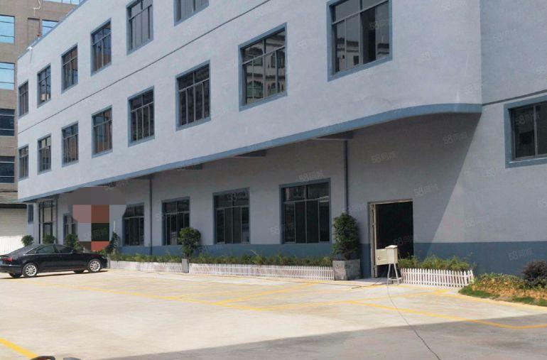 牛杨 二楼 1000平方 带办公装修 生产仓库都可以