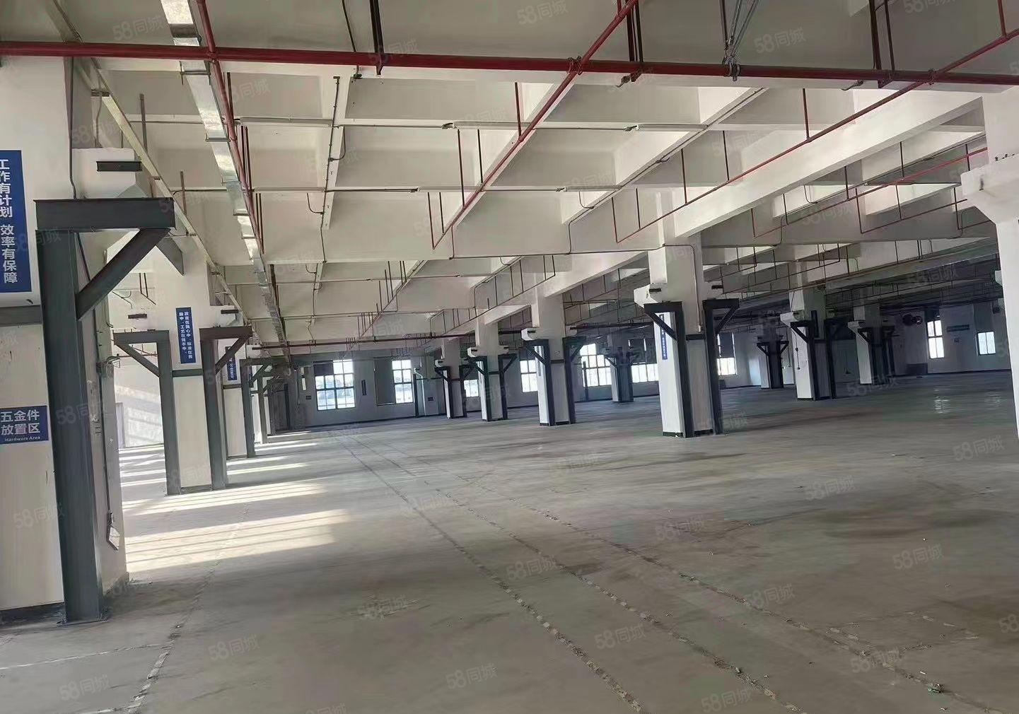 寮步 西溪 自用厂房出租 一楼1000平方,无公摊面积