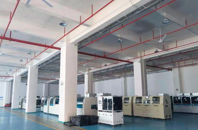 寮步 药勒 全新厂房 共5000平方，10元急租