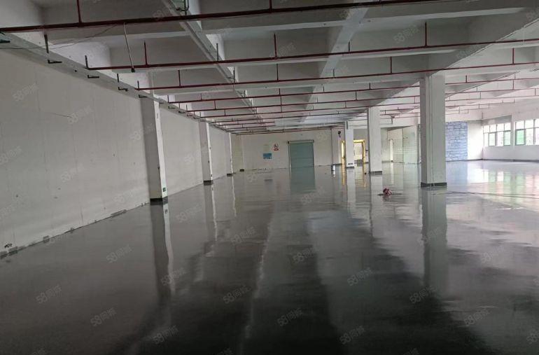 特价出租凫山村新出标准厂房三楼1600方，水电齐全，