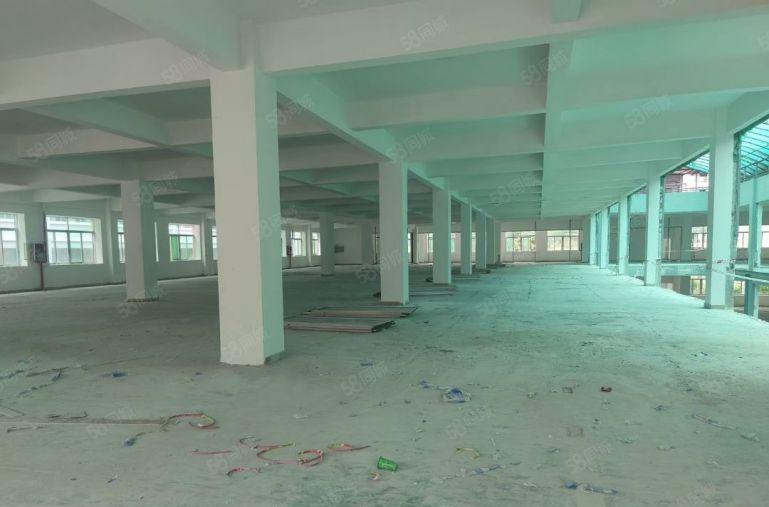 寮步重工业厂房，房东体谅现在行情不好价格便宜，灵活分组