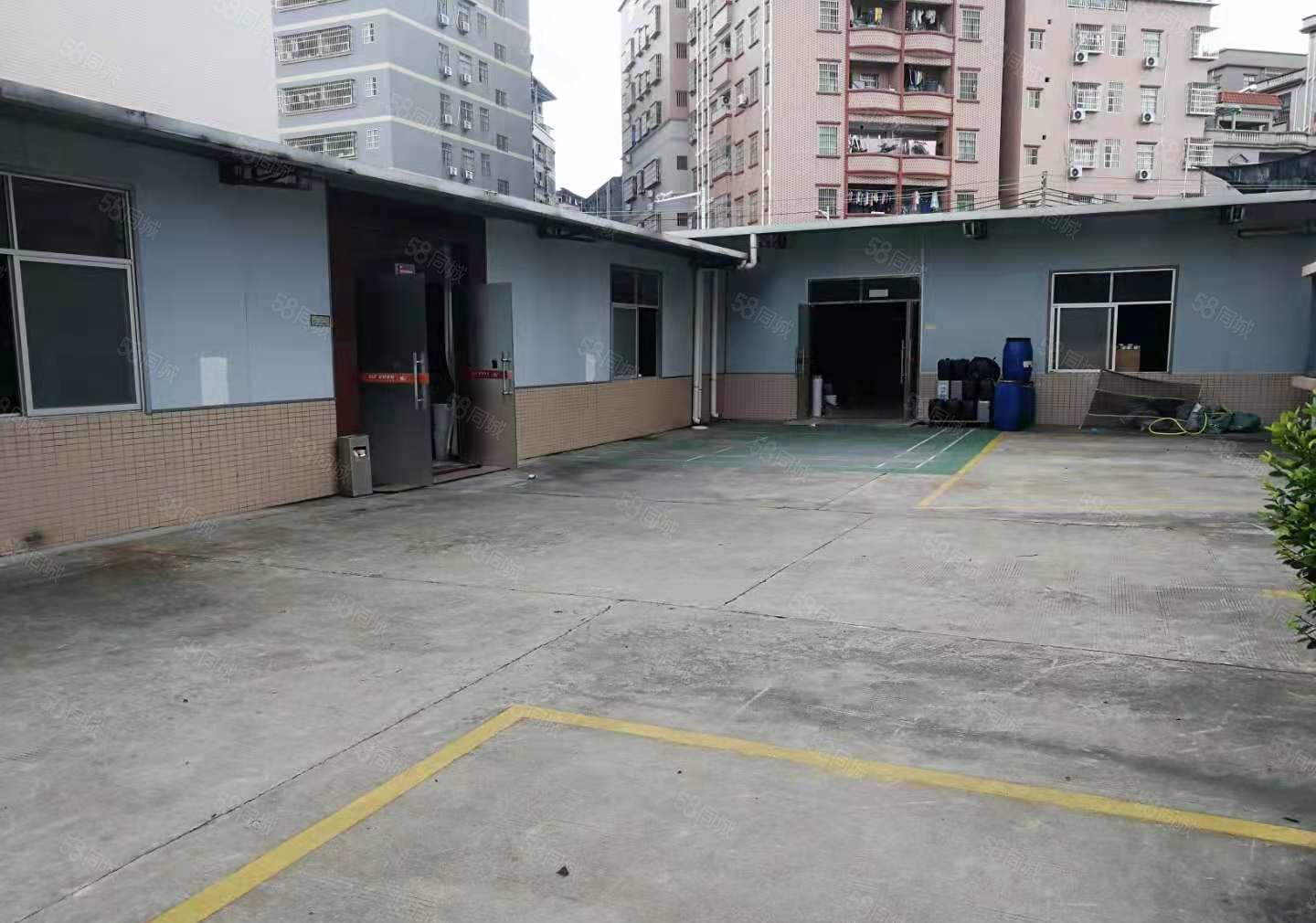 新出花园式厂房 原房东 研发小独院6000平  出租