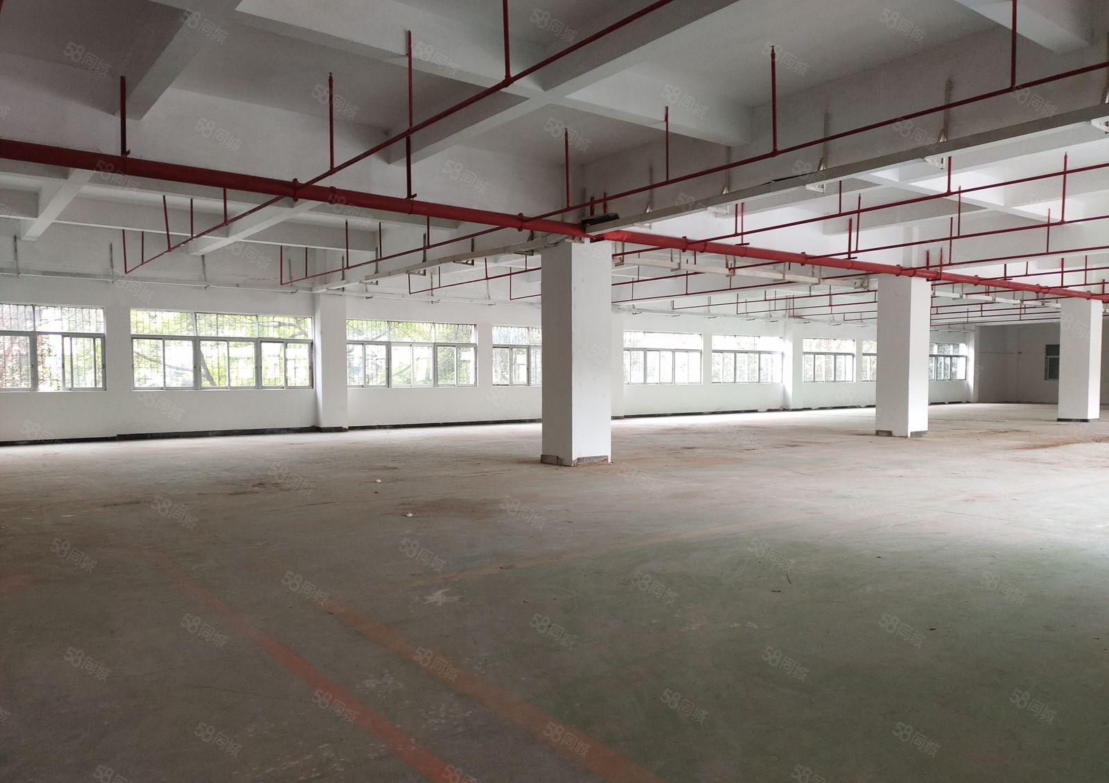 寮步 上底 独院厂房 分租整层2000平方.现成装修