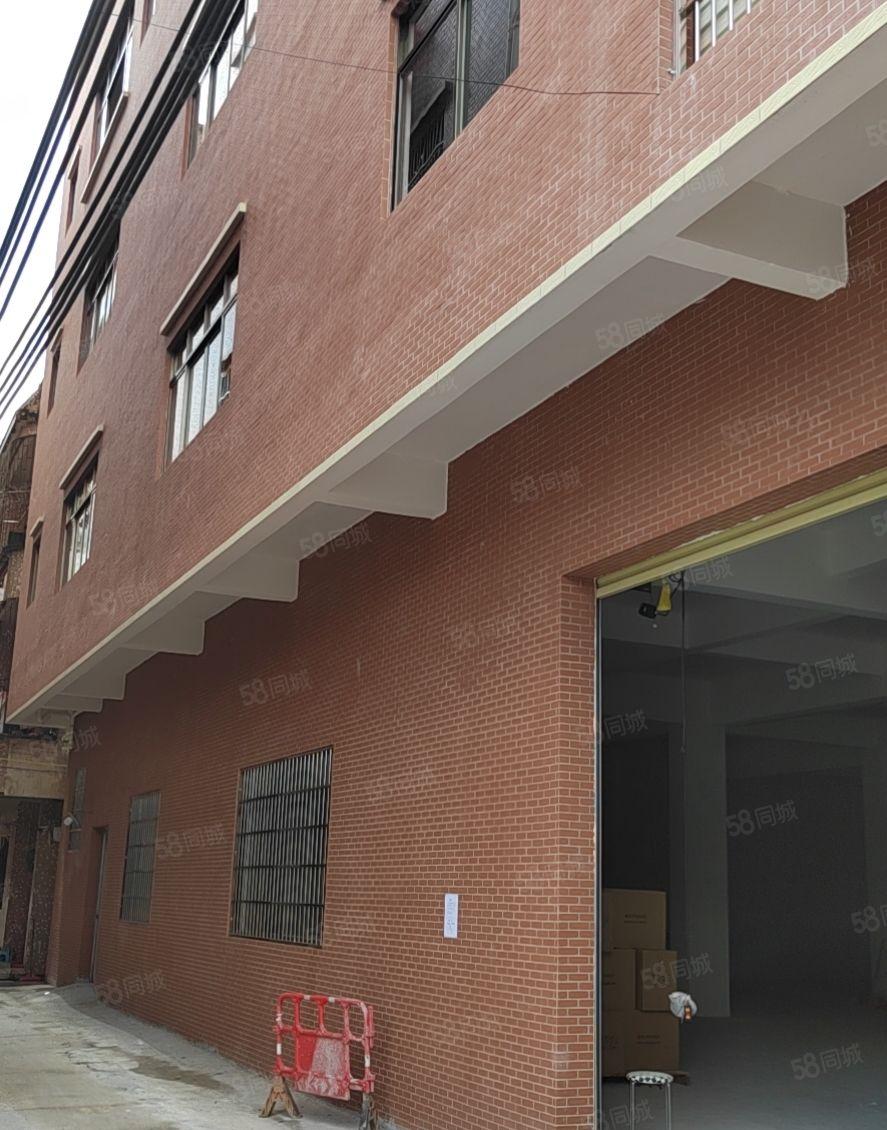 岭厦村岭厦二巷37号全新标准一楼高5米整层