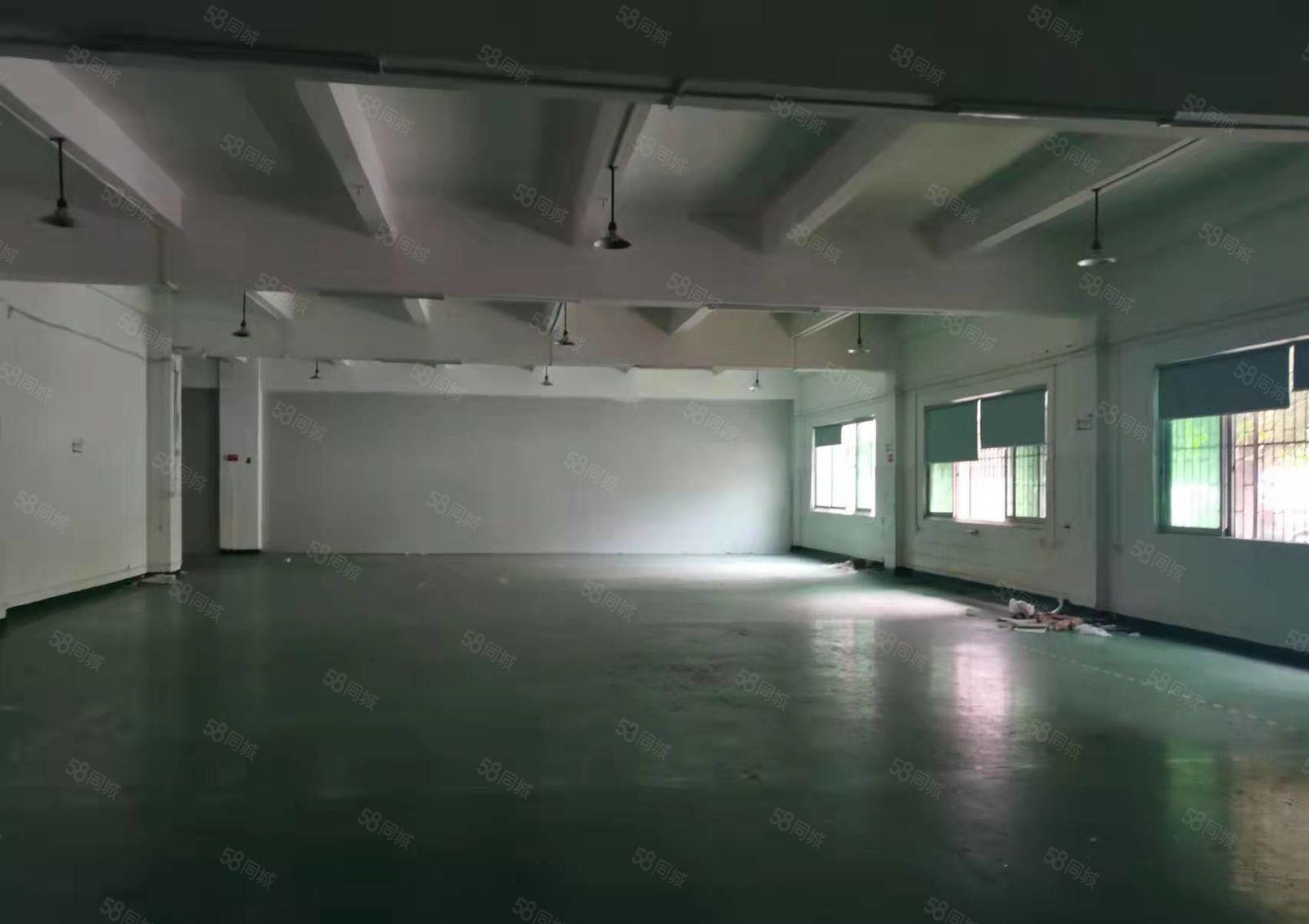 实拍寮步西溪新推出独栋厂房一楼出租1300平带地坪漆空地超大