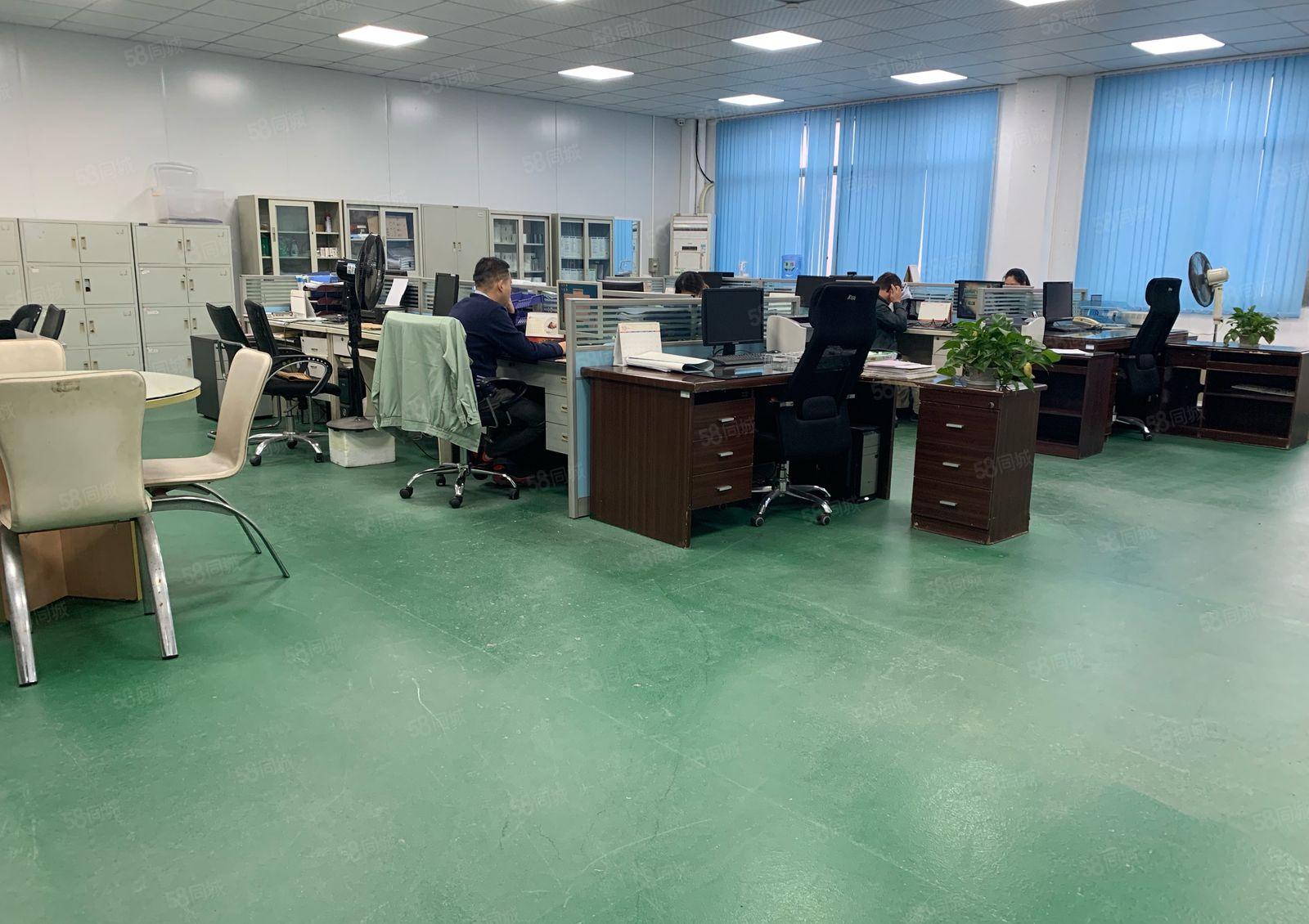 寮步凫山靠松山湖二楼整层面积2800平方，现成办公室装修