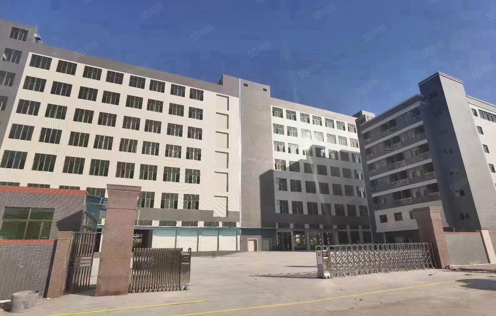 钜惠！寮步镇独门独院标准厂房出租，园区证件齐全，空地大可分租