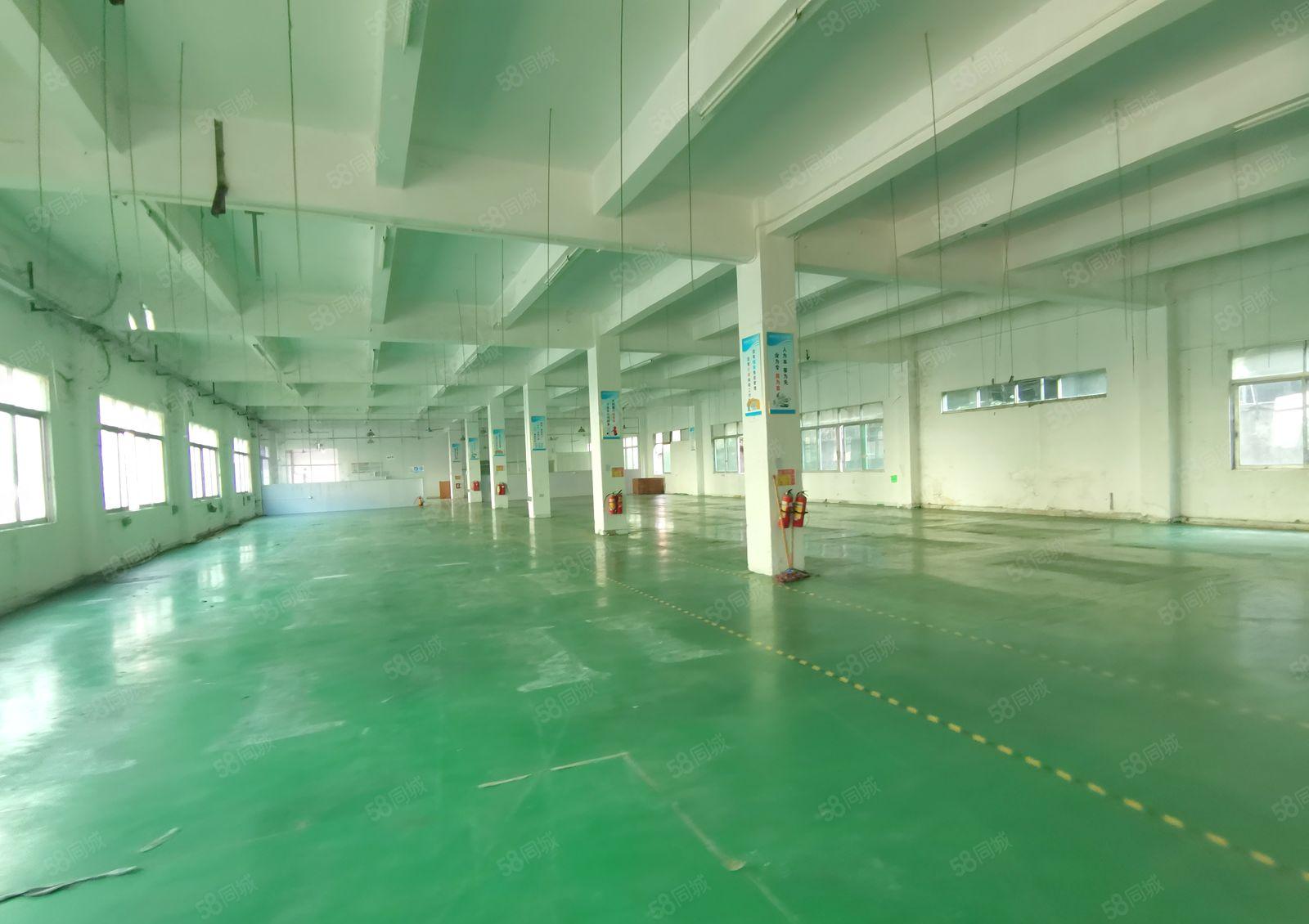 原房东出租独院三层厂房总建筑面积6800平方米