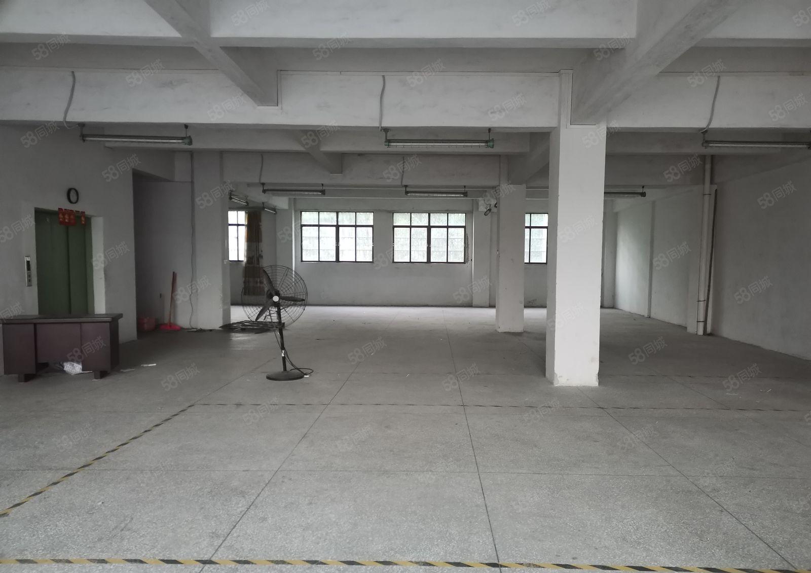 寮步西溪新出原房东一楼350方 7米高 实量面积