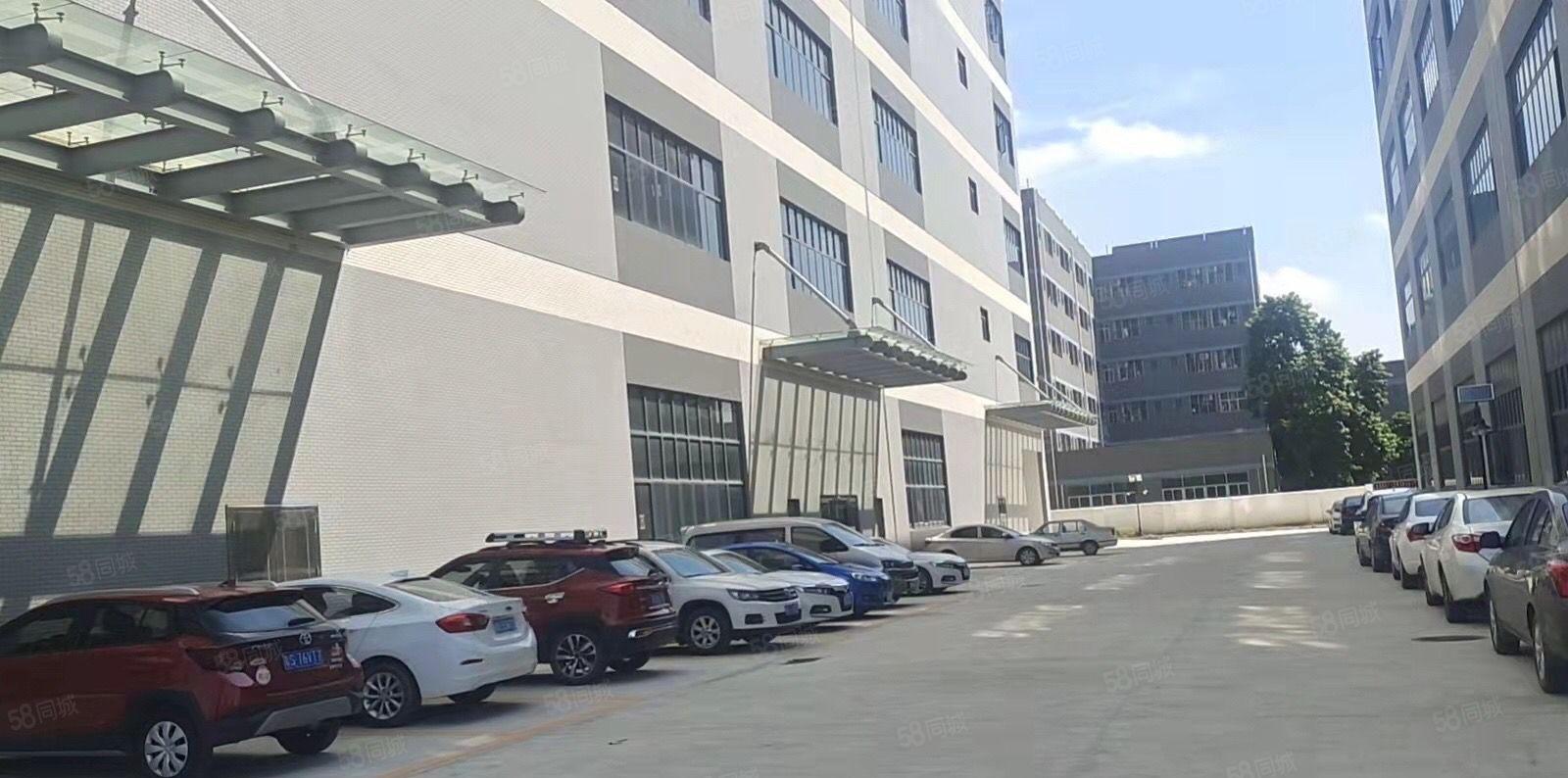 寮步竹园高新科技园，分租整层 形象好！